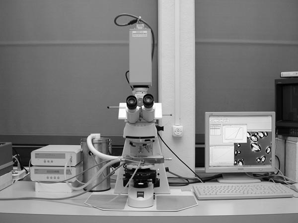 Enlarged view: light microscope